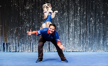 The Perondi's Stunt Dog Experience at the Wilkin's Theatre