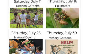 In Our Garden: Summer Family Days