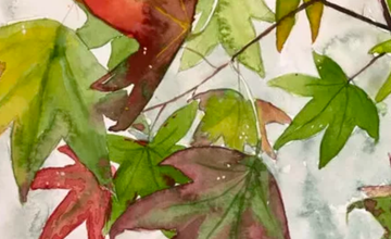 Art in the Marsh - Sketching Fall Leaves at Tulpehaking Nature Center