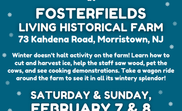 Winter on the Farm at Fosterfields