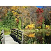 Leonard J. Buck Garden