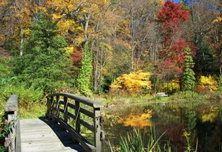 Leonard J. Buck Garden