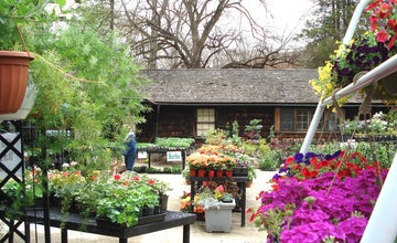Plant Sale at NJ Botanical Garden