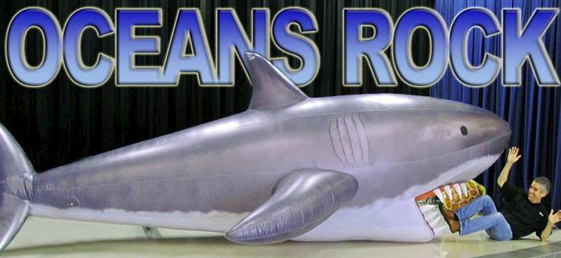 OCEANS ROCK Birthday Party - The Aquarium comes to you...sharks, stingrays & more!
