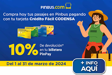 Pinbus.com 10%
