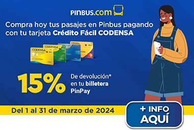 Pinbus.com 15%