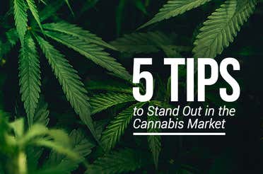 5 Tips to Stand Out in the Cannabis Market