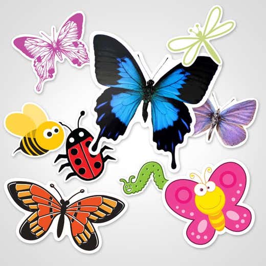 Butterfly & Insect Stickers 
