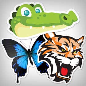 Animals