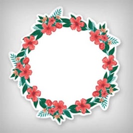 Borders & Frames