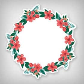 Borders & Frames