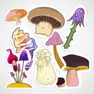 Mushroom stickers