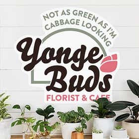 Outdoor Wall Decals