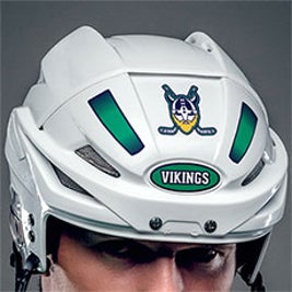 Helmet Stickers 