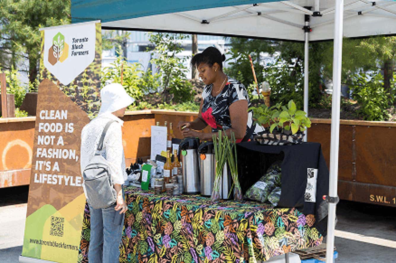 Photo of a vendor at YZD
