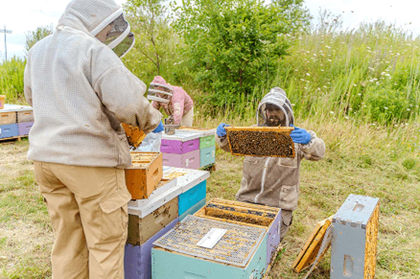Photo of beekeepers