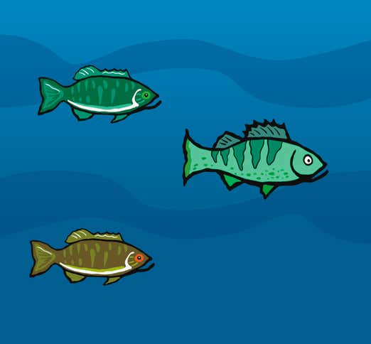 Three fish swim gracefully in the ocean, with a gentle wave rolling in the background.